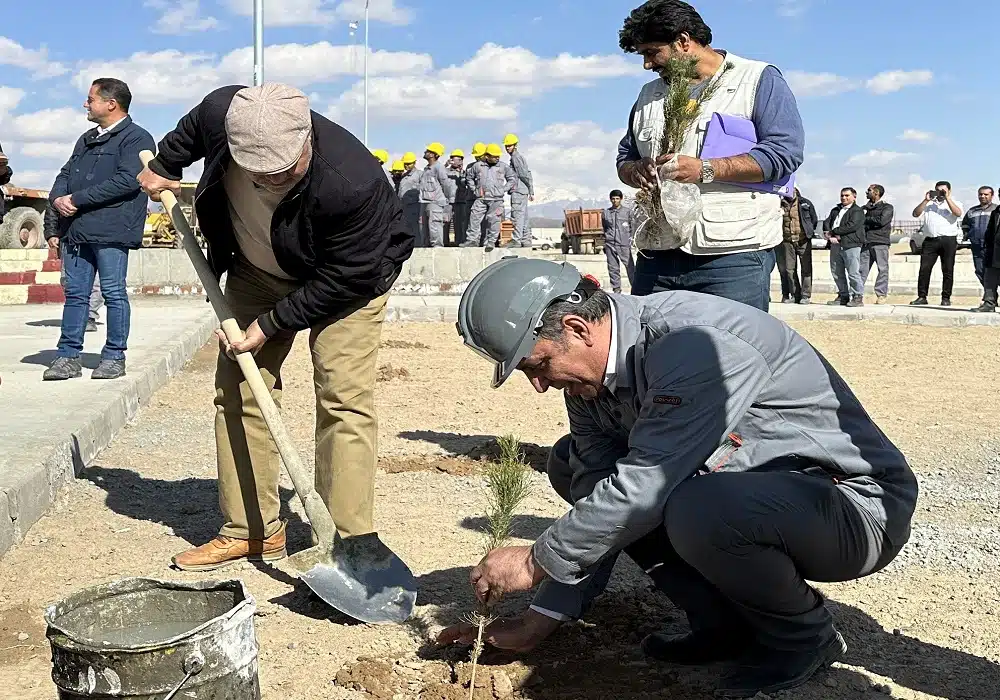 غرس درخت در کارخانه